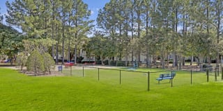 Harlowe Apartments Gallery 18