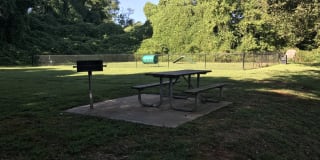 Goldelm at Cedar Bluff Gallery 15