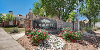 SUMMERTREE PLACE Gallery 19