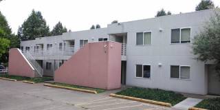 (343) Paletine Apts - 1 Bedroom / 1 Bathroom (343) Paletine Apts - 1 Bedroom / 1 Bathroom Gallery 1