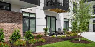 The Canopy Gallery 40