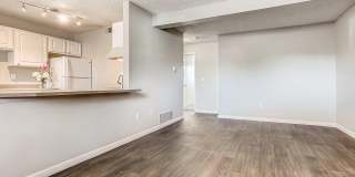 Silverbrook Gallery 17