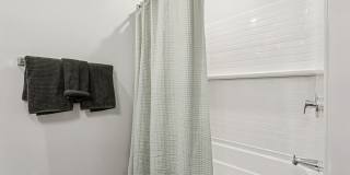 Ascend at Carlton Gallery 53