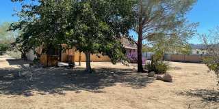 Charming Joshua Tree Village Home Gallery 16