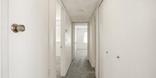 833 Cinnamon Gallery 15