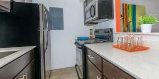 Treehouse Apartments Gallery 6