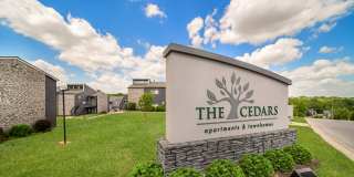 Cedar Brooke Gallery 23