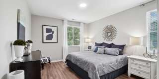 Solaire Apartments Gallery 5