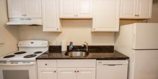 Pet Friendly, Garden Level Affordable Apartment in Brookline w ONE FREE Parking Spot, Heat, Hot Water all INCLUDED!   Most Utilities Gallery 4