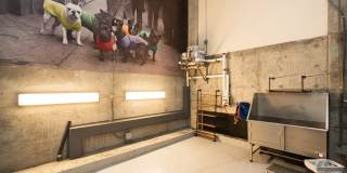 Rollin Street Flats Gallery 34