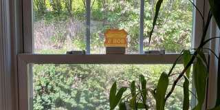 306 Piermont Avenue Gallery 36