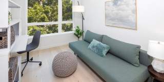 Solace Gallery 15