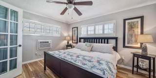 Dolphin Beach Gallery 9