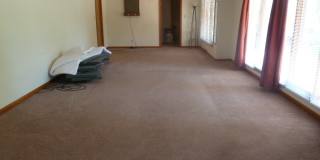 Walk to Campus! Incredible location, amazing space in this sprawling 4br home in downtown Chapel Hill Gallery 7