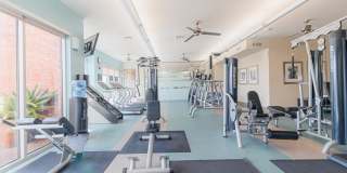 Domain at Kirby Gallery 52