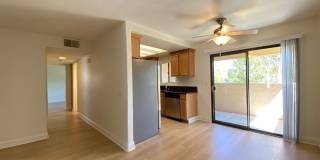 2 Bedroom, 2 Bath, Downstairs Condo! Gallery 3