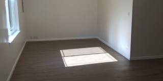 Updated 3 Bedroom 2 Bathroom Home in Paradise! Gallery 7