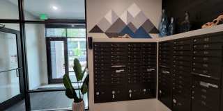 Our Newest Luxury Studios in Ballard! Gallery 16