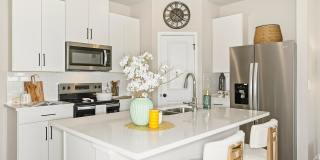 Coral Palms at Oakleaf Gallery 1