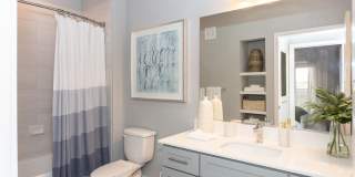 Coronado on Briarwood Gallery 4