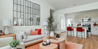 Leo at Cartersville Gallery 1