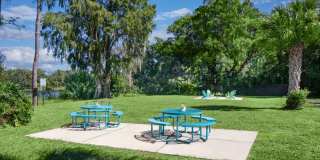 The River Pointe Gallery 7