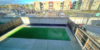 2455 2455 Explorador Dr Gallery 4
