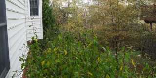 25575 AMERICA Square Gallery 44