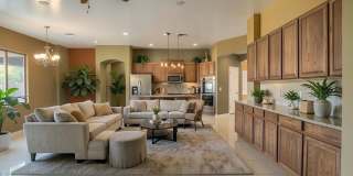 Gorgeous 4 bed 3 bath Single Level Home in Norterra Area Gallery 26