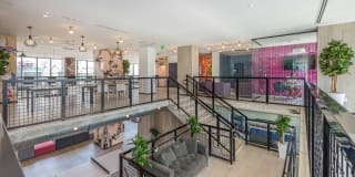 Alea Miami Gallery 11