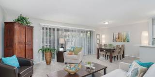 Kenilworth Gallery 77