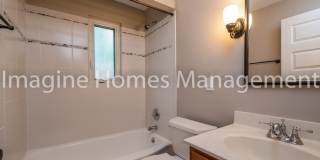 4617 Orchard Lane Gallery 16
