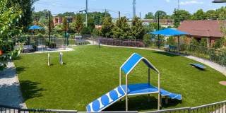 District at Duluth Apartments Gallery 38