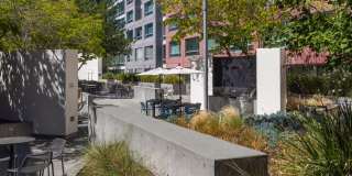 Avalon at Mission Bay Gallery 45