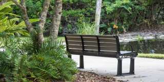 Imperial Palms Gallery 44