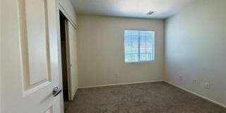 3619 American Pie Court Gallery 40