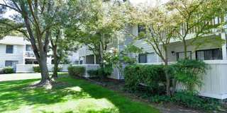 The Crossing at Arroyo Trail Gallery 20