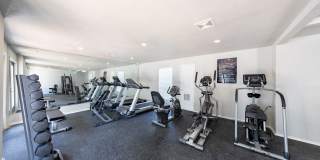 The Iris The Iris Gallery 14