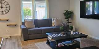 MUST SEE 4 Bedroom 2 bath Gallery 8