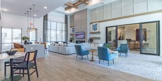 Ariza Scott BLVD Gallery 7