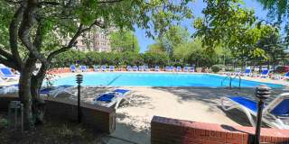 The Flamingo Gallery 13