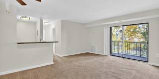 The Cloisters Gallery 43