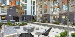 The Patton Gallery 71