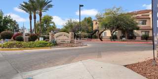Desert Jewel Gallery 53