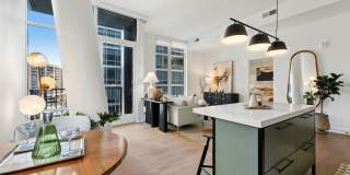 The Zoe Gallery 27