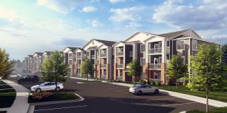 Ivory on Long Creek Gallery 5