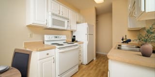 Chesterwood Gallery 1