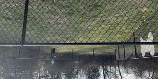 The Apex apartments Gallery 18