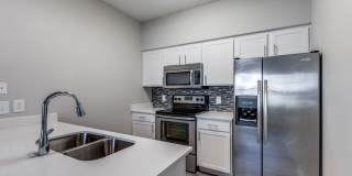 San Montego Gallery 11