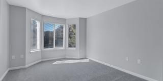 Columbia Glade Gallery 16